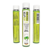 Fresh Mix 1:80 - 25ml Fresh2Go Waldmeister